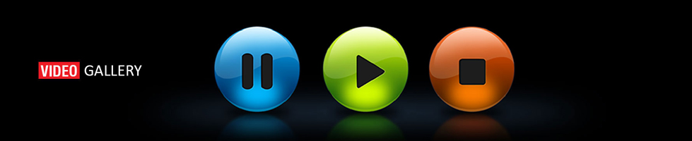 video-gallery